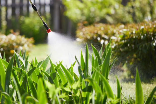 24/7 Emergency Mosquito Control experts in Pineville, KY
