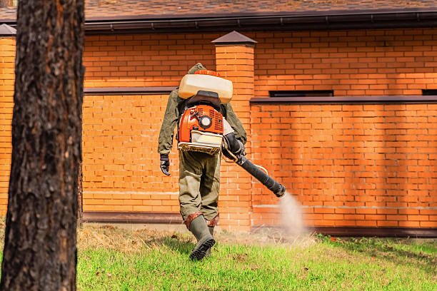 Top rated local Mosquito Control specialists in Pineville, KY
